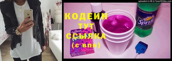 амф Липки